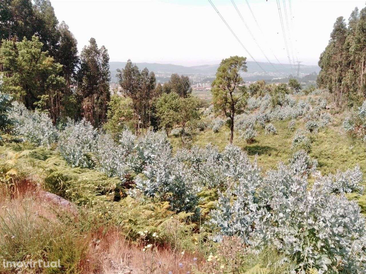 Terreno para construção em Rebordosa - Paredes - Grande imagem: 4/6