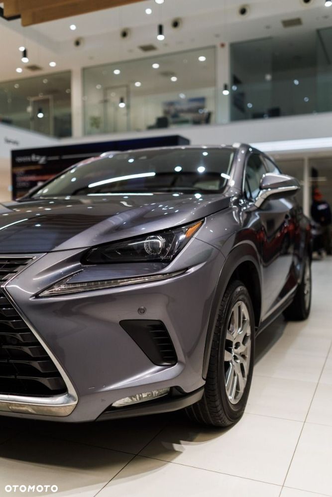 Lexus NX - 15