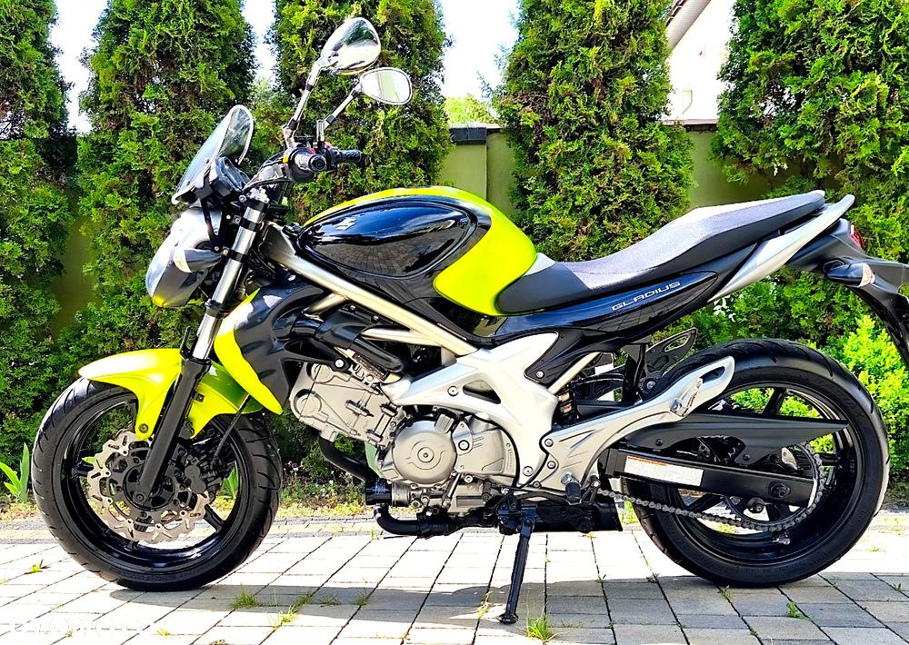 Suzuki Gladius - 1