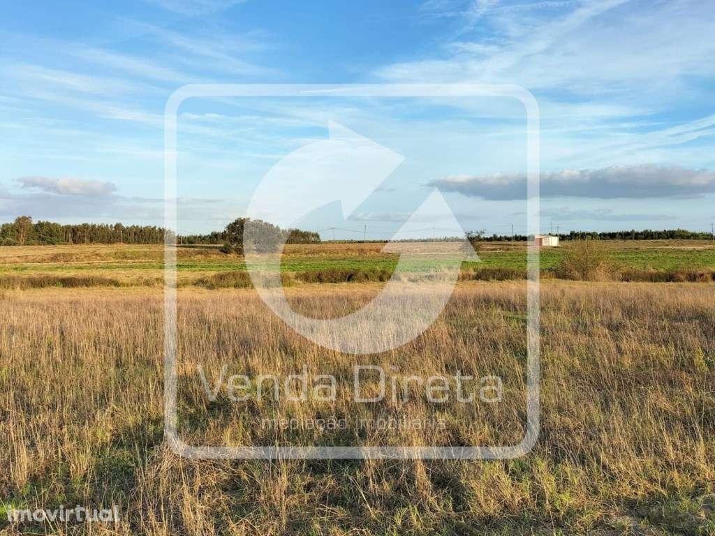 Terreno com 110.000 m2 junto à Nacional 10 - Com Armazém, Furo Lice... - Grande imagem: 5/20