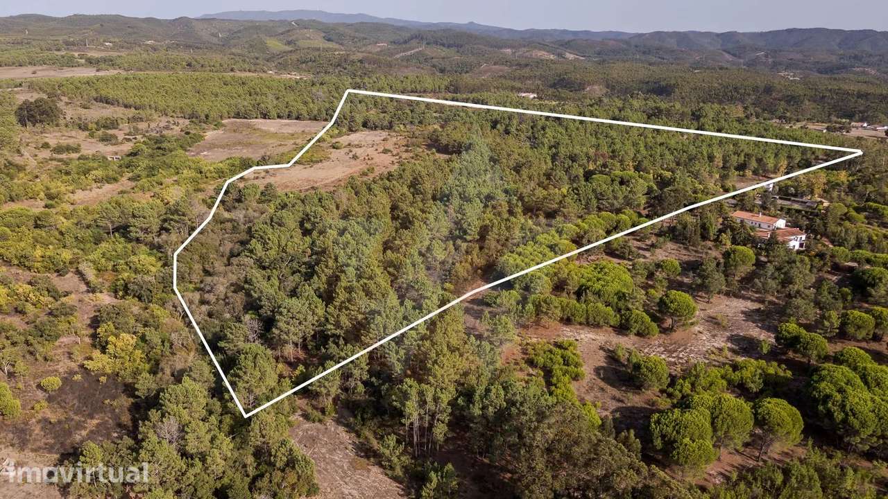 23 hectares de natureza pura em Carrascalinho, com 2 ruínas - Grande imagem: 4/39