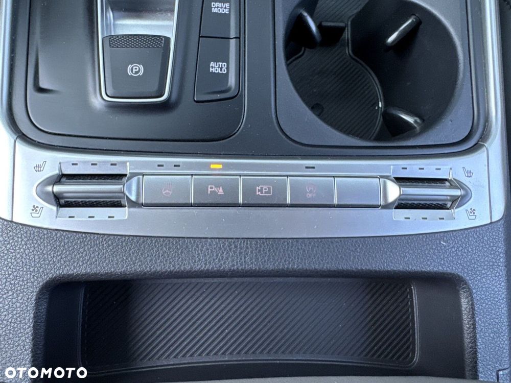 Kia Carnival - 25