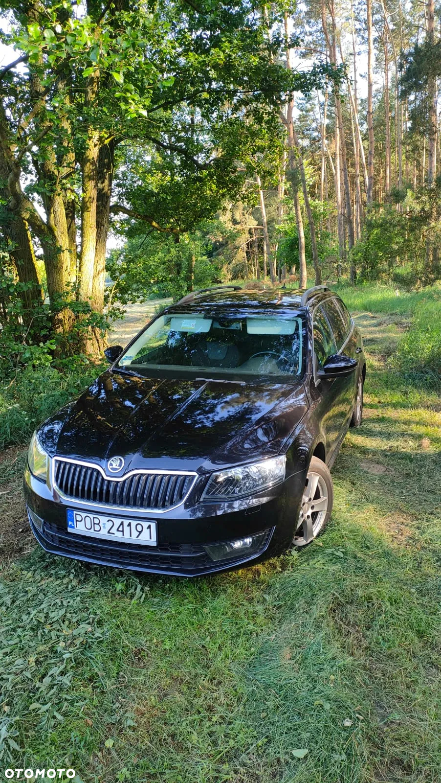 Skoda Octavia 1.6 TDI Ambition DSG - 12