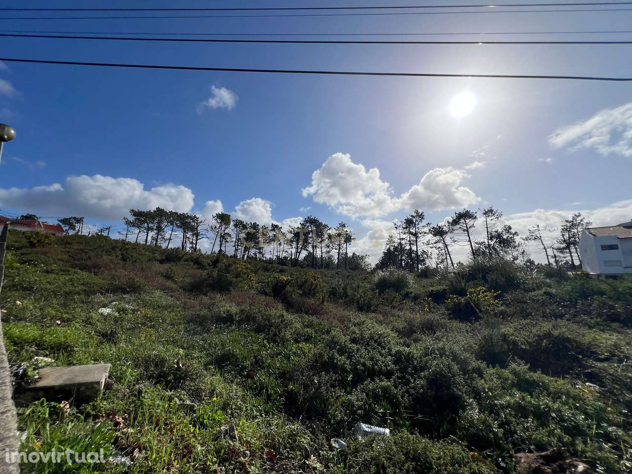 Terreno com Vista Mar – Nazaré (Pinhal do Camarção) - Grande imagem: 2/17