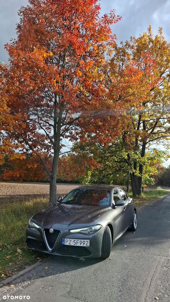 Alfa Romeo Giulia 2017 photo 5