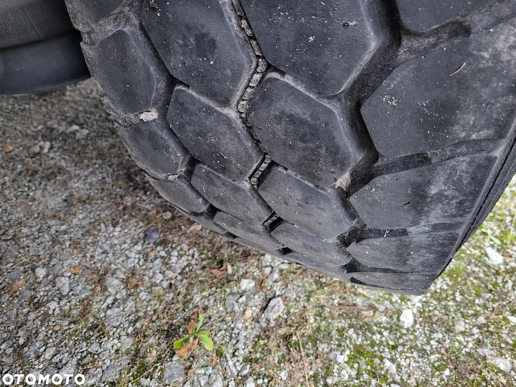 Krone Standard 2020 - 10