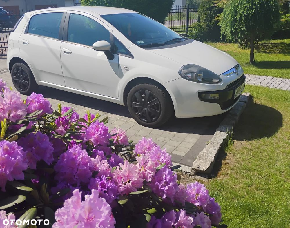 Fiat Punto Evo 1.2 8V Active - 1
