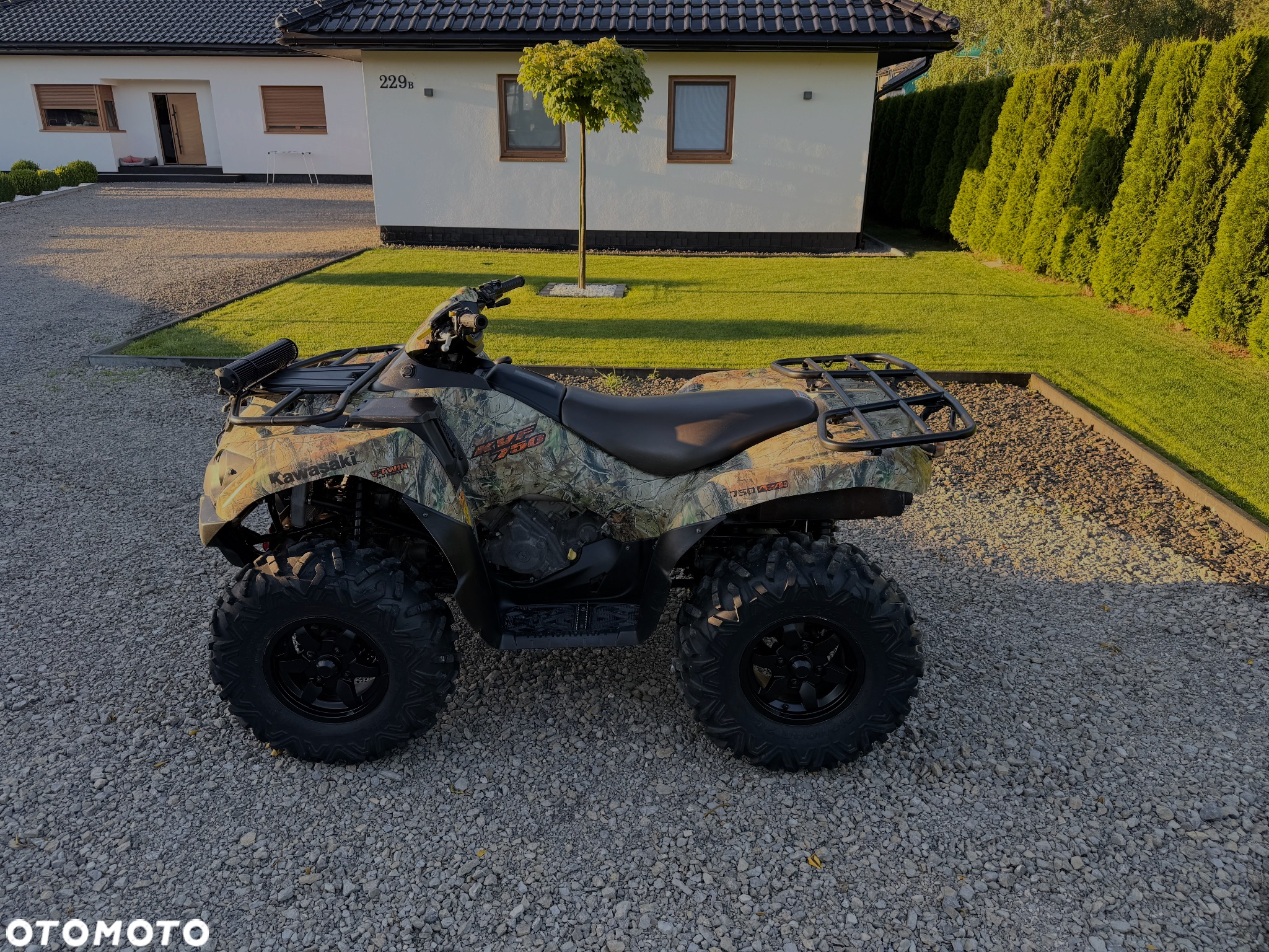 Kawasaki Brute Force