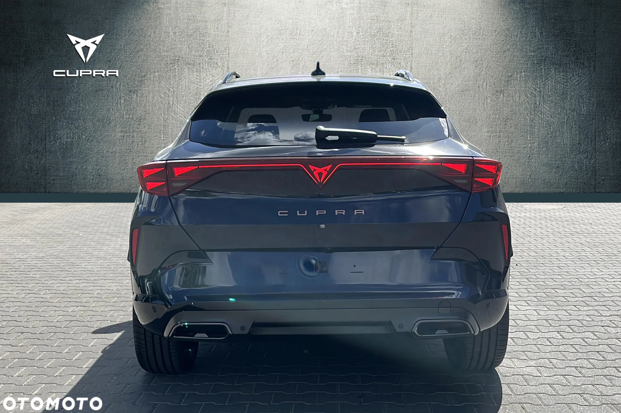 Cupra Formentor 2.0 TDI DSG - 6