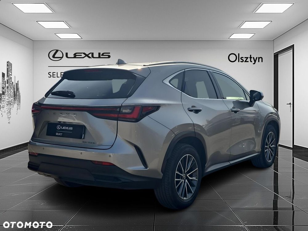 Lexus NX 350h Business AWD - 7