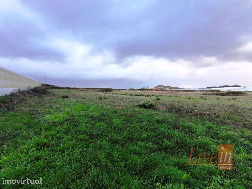 Terreno Rústico com 5 Ha com Ruína em Salemas, Lousa, Loures - Grande imagem: 4/16