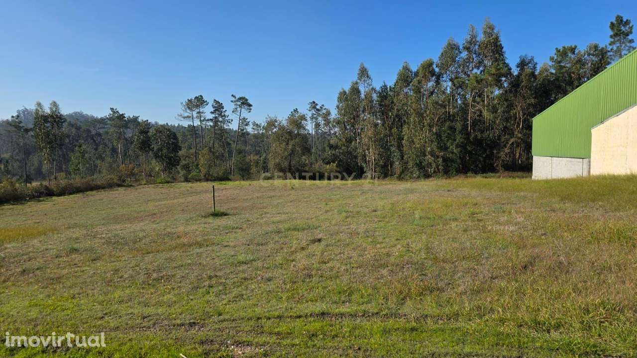 Terreno em Soure, Coimbra - Oportunidade de construção da sua moradia - Grande imagem: 3/19