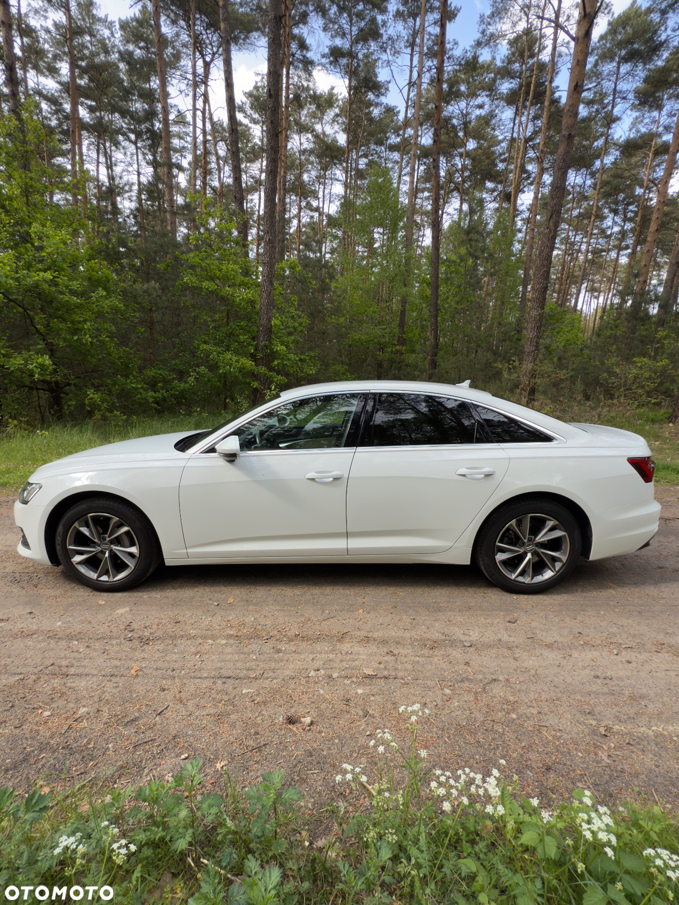 Audi A6 - 21