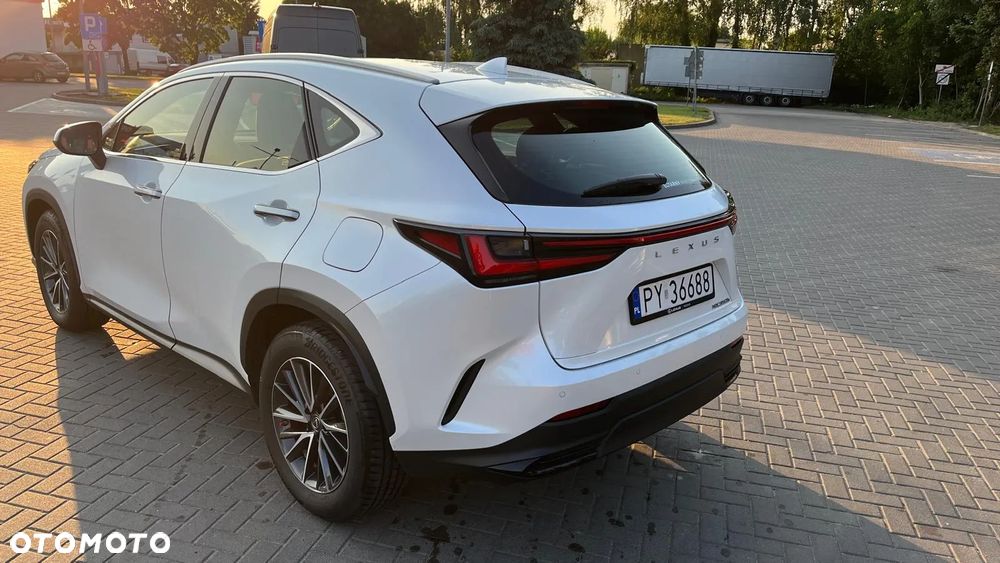 Lexus NX 350h Business AWD - 15