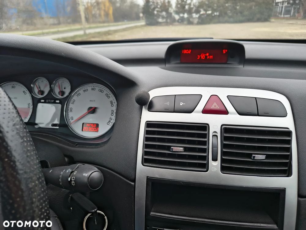 Peugeot 307 - 13