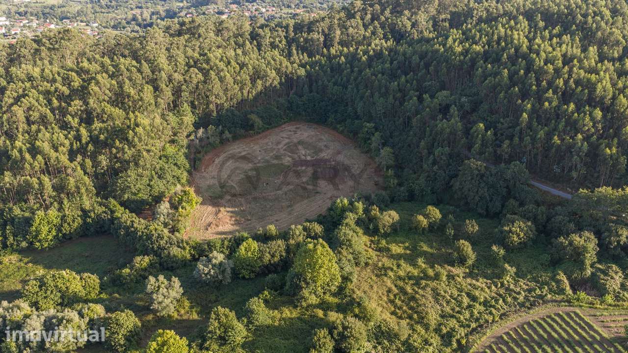 TERRENO AGRÍCOLA COM 10.000 m²  VILA VERDE - Grande imagem: 5/23