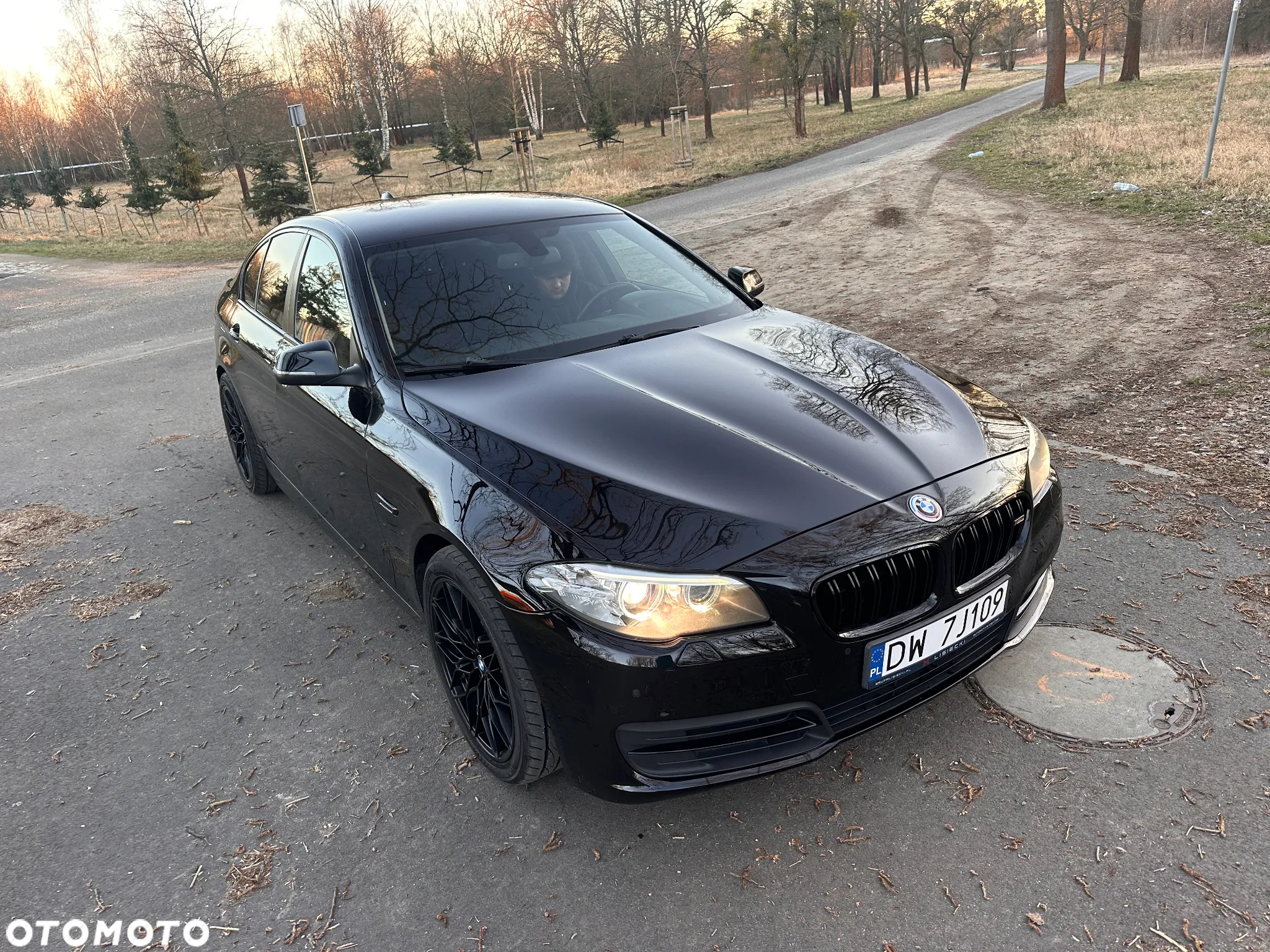 BMW Seria 5 518d Luxury Line - 10