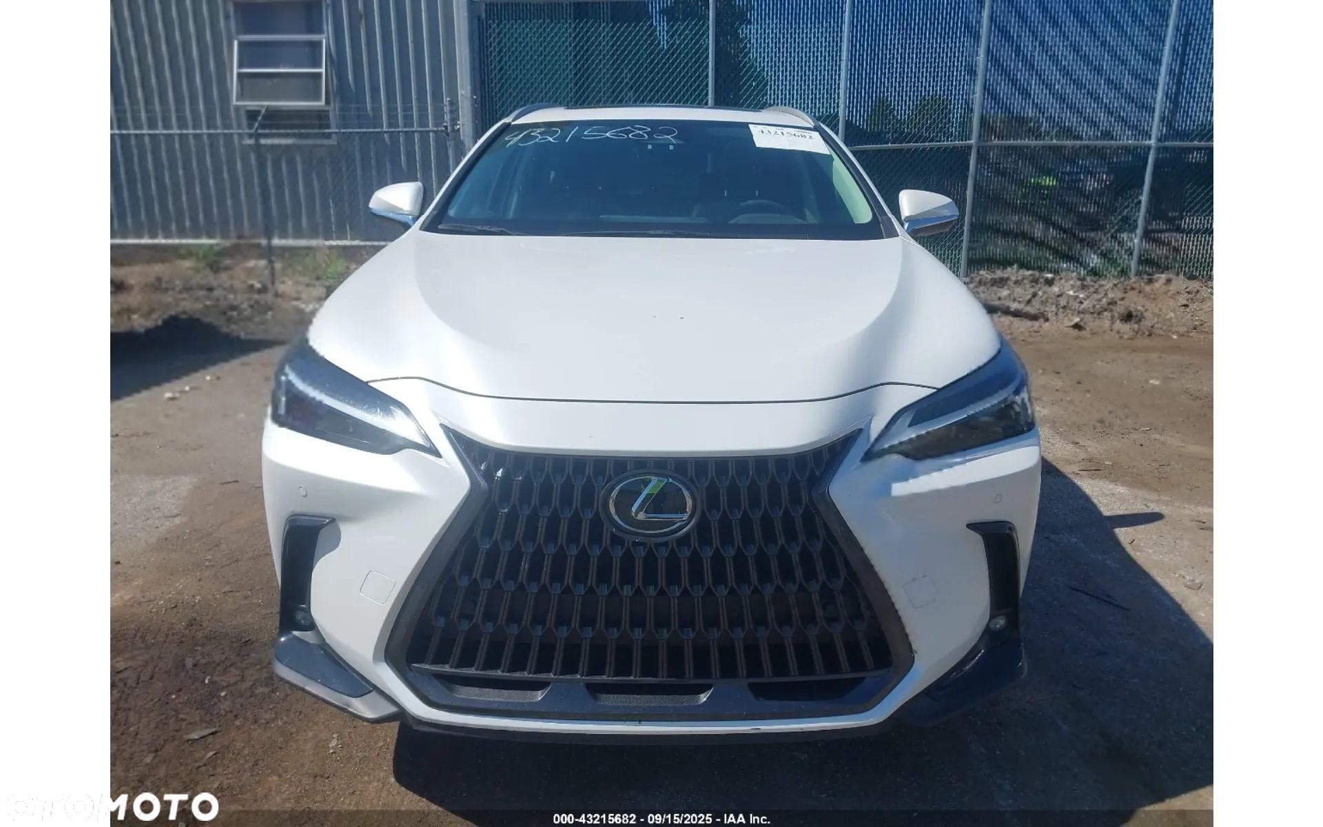 Lexus NX 350h Business AWD - 2
