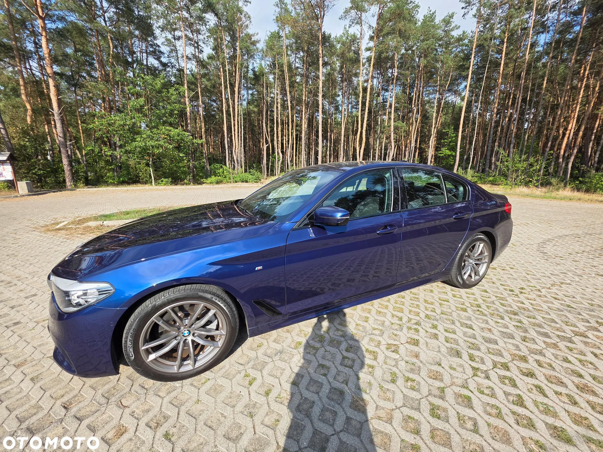 BMW Seria 5 520d xDrive - 8