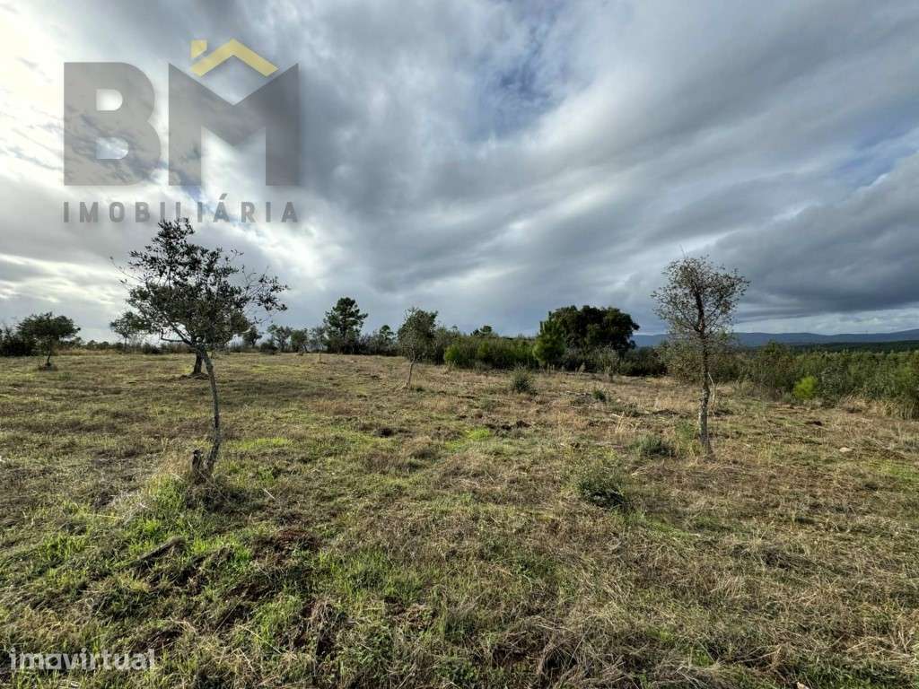 Terreno rustico com 5.000m2 para venda no Ninho do Açor! - Grande imagem: 5/8