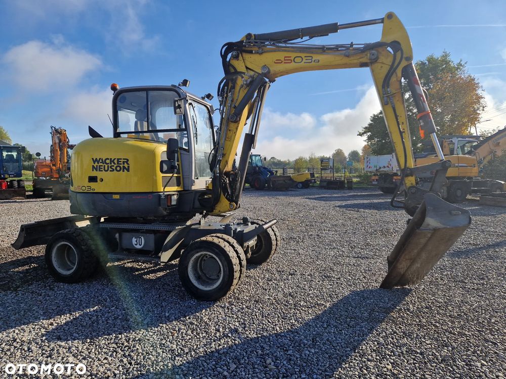 Wacker Neuson 6503 - 3