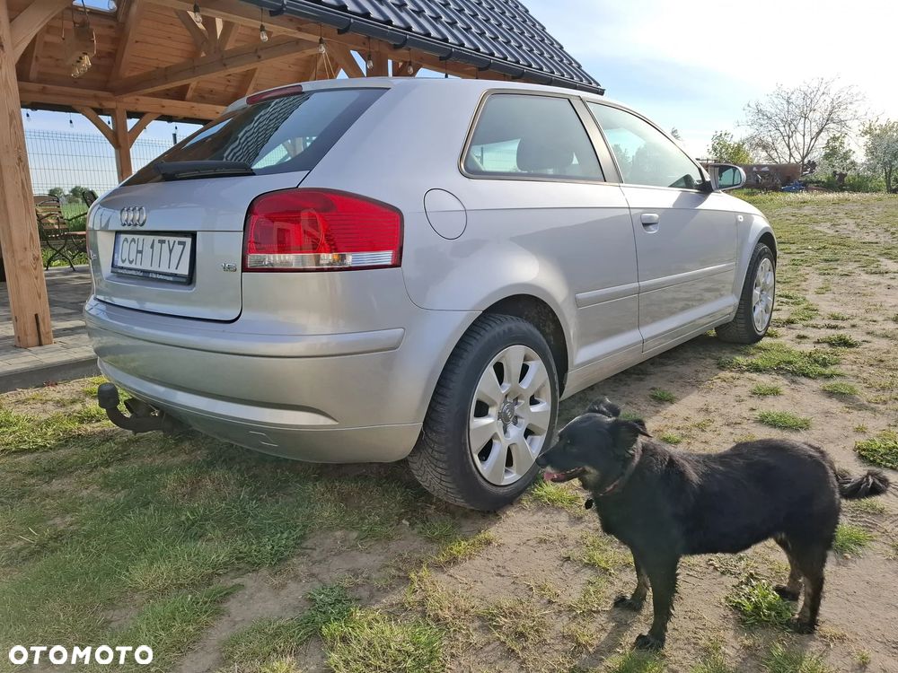Audi A3 3-drzwiowe 1.6 Ambition - 13