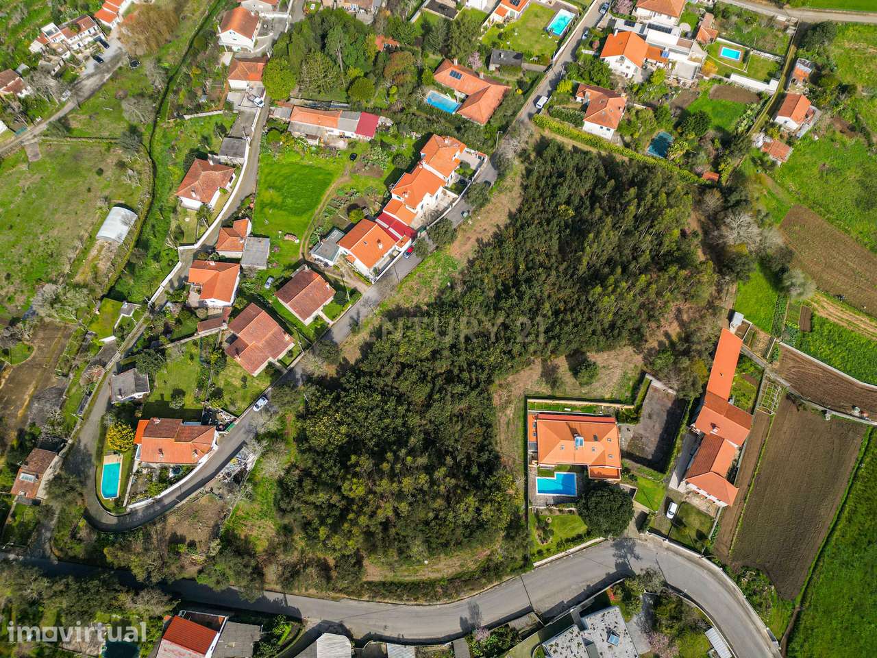 Terreno para Investimento – 10.000m² em Gemeses - Grande imagem: 3/12