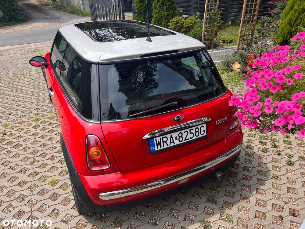MINI Cooper chili - 8
