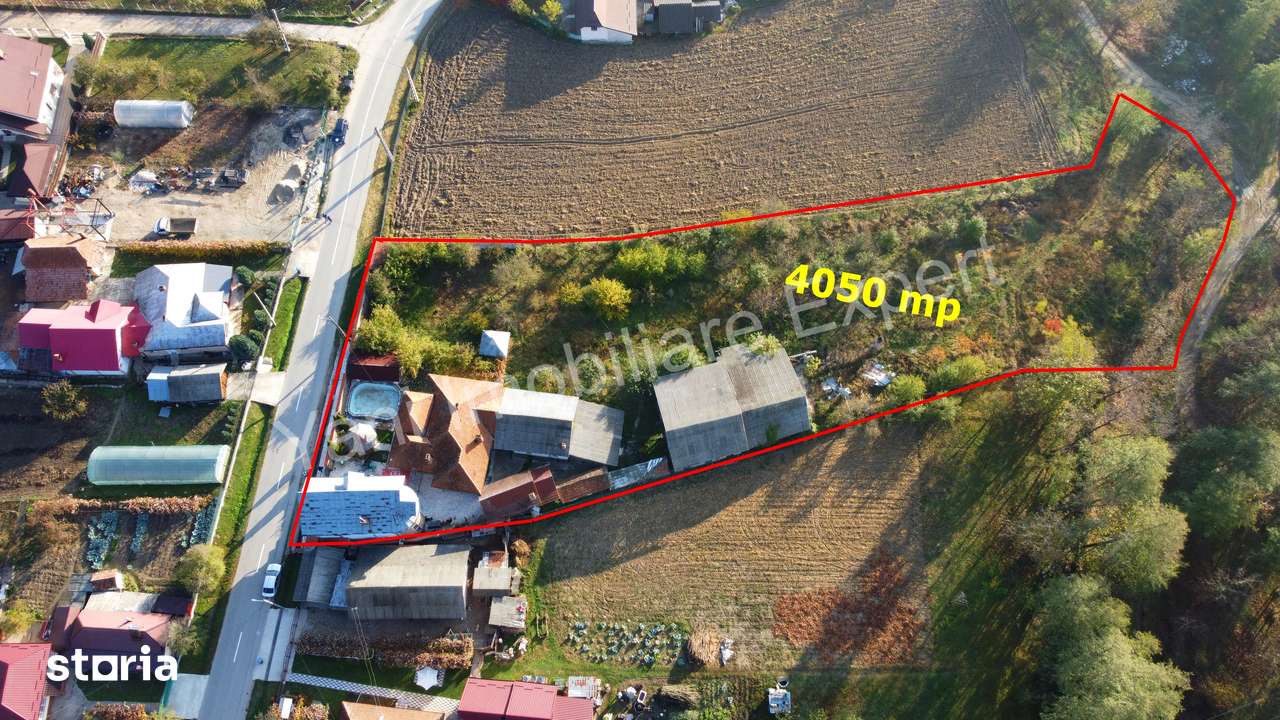 Casă + spațiu comercial de vânzare în comuna Băiculești, județ Argeș. - Imagine principală: 5/20