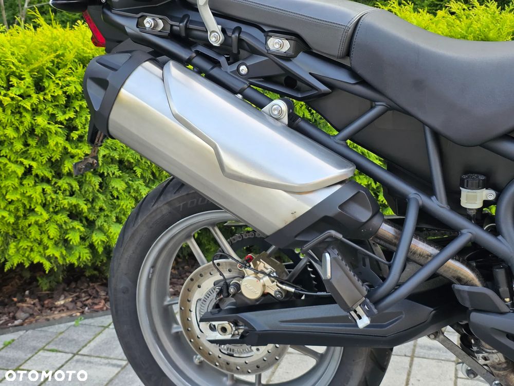 Triumph Tiger - 9