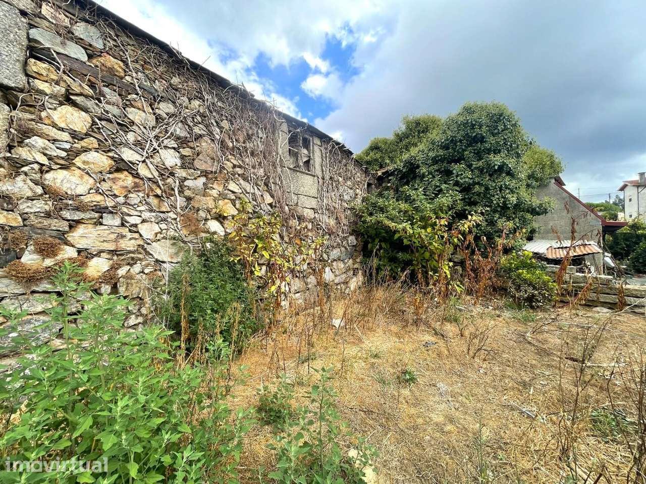 Rio Douro - Moradia em ruína em Carcavelos, Santa Maria de Sardoura - Grande imagem: 5/43