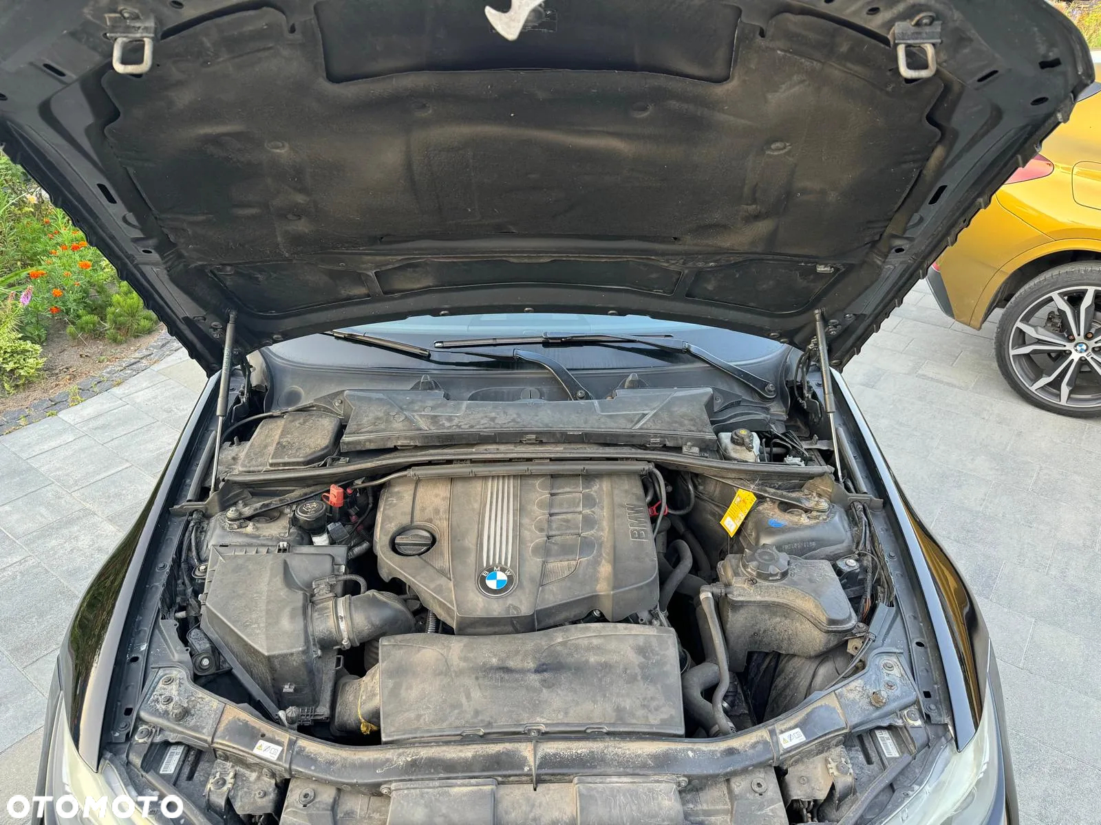 BMW Seria 3 - 15