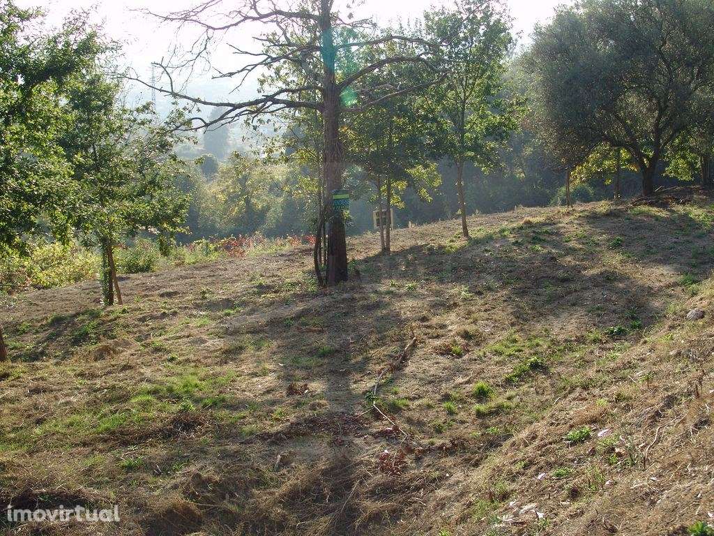 Terreno em Refóios do Lima- Ponte de Lima. - Grande imagem: 4/6