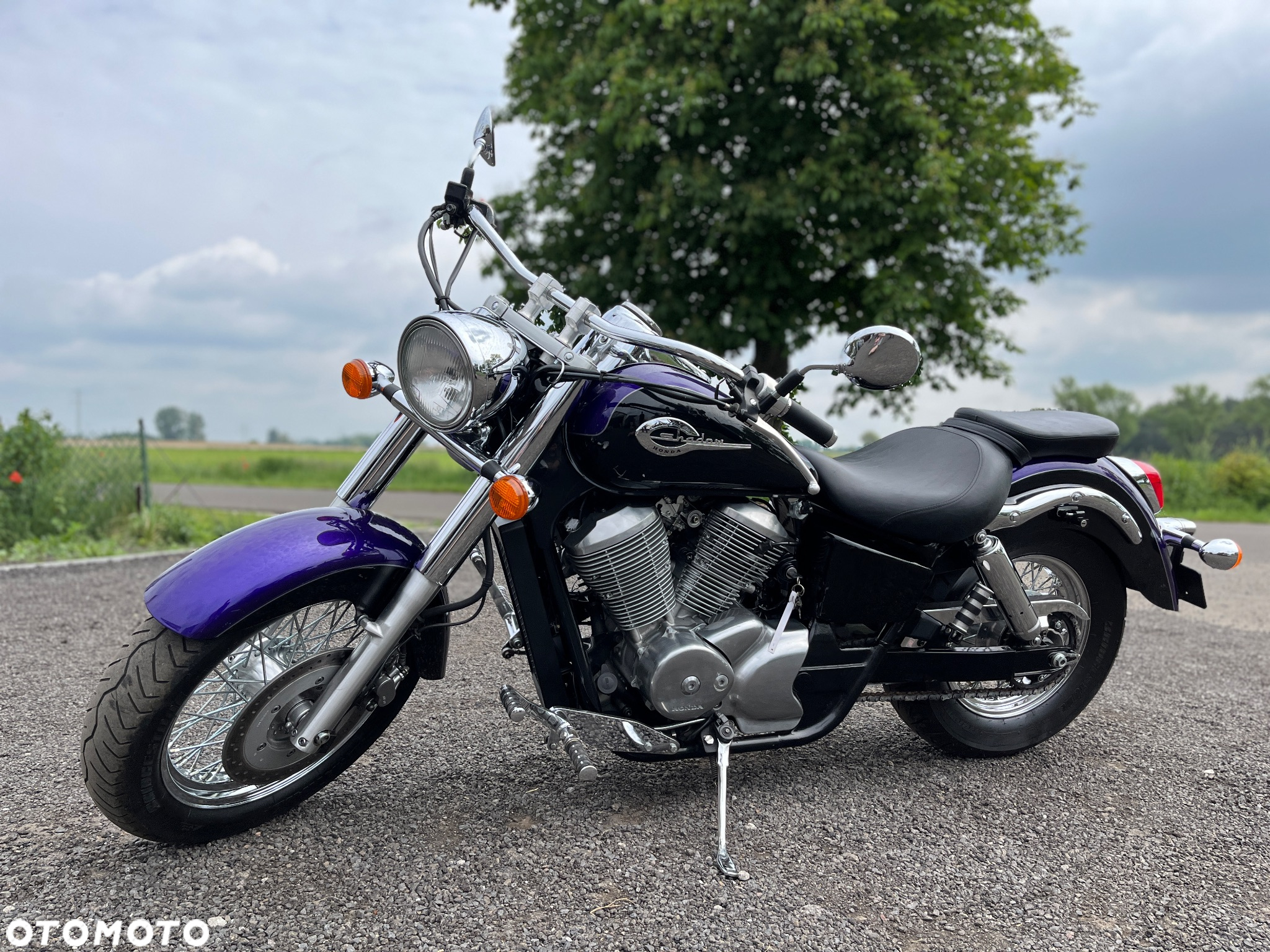 Honda Shadow - 4