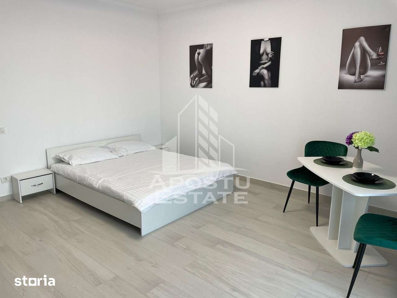 Apartament cu 1 camera mobilat si utilat in Giroc la asfalt — fotografia 2