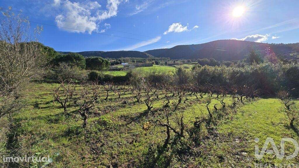 Terreno para construção em Lamas e Cercal - Grande imagem: 4/10
