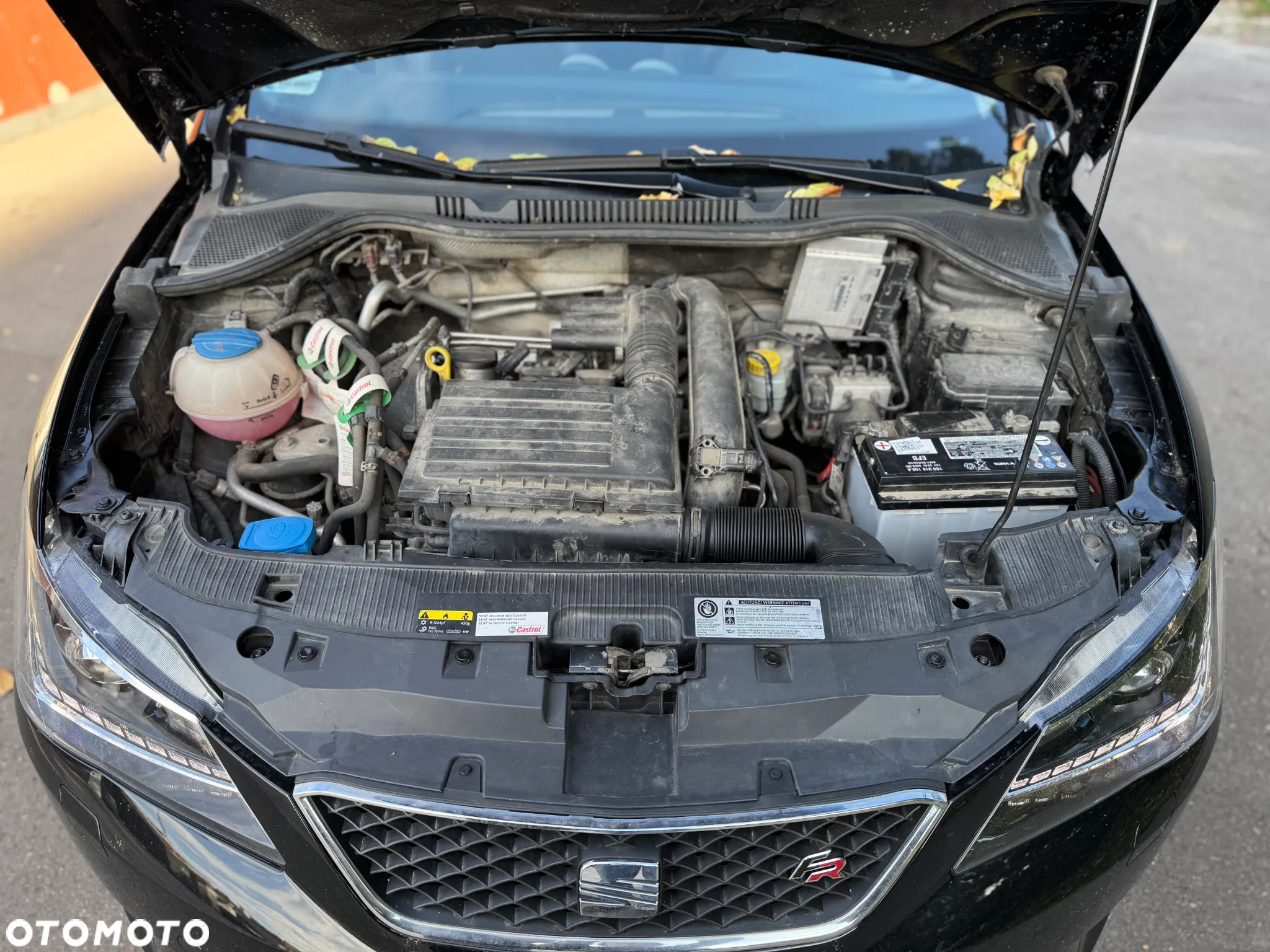Seat Ibiza 1.2 TSI FR - 17