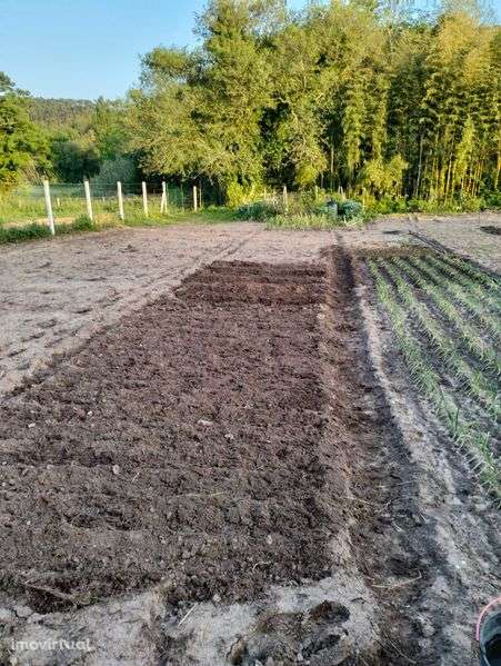 Terreno rústico próximo da cidade - Grande imagem: 3/10