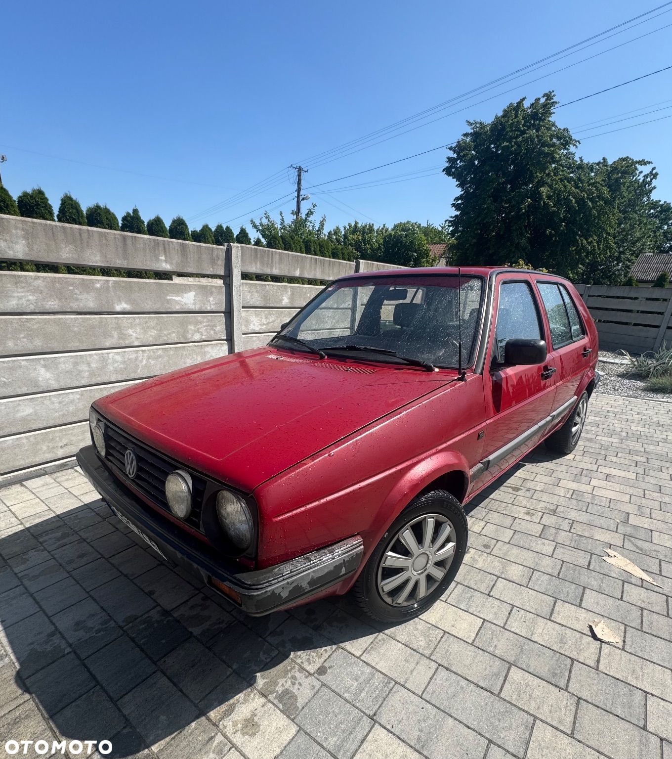 Volkswagen Golf 1.6 CL - 1