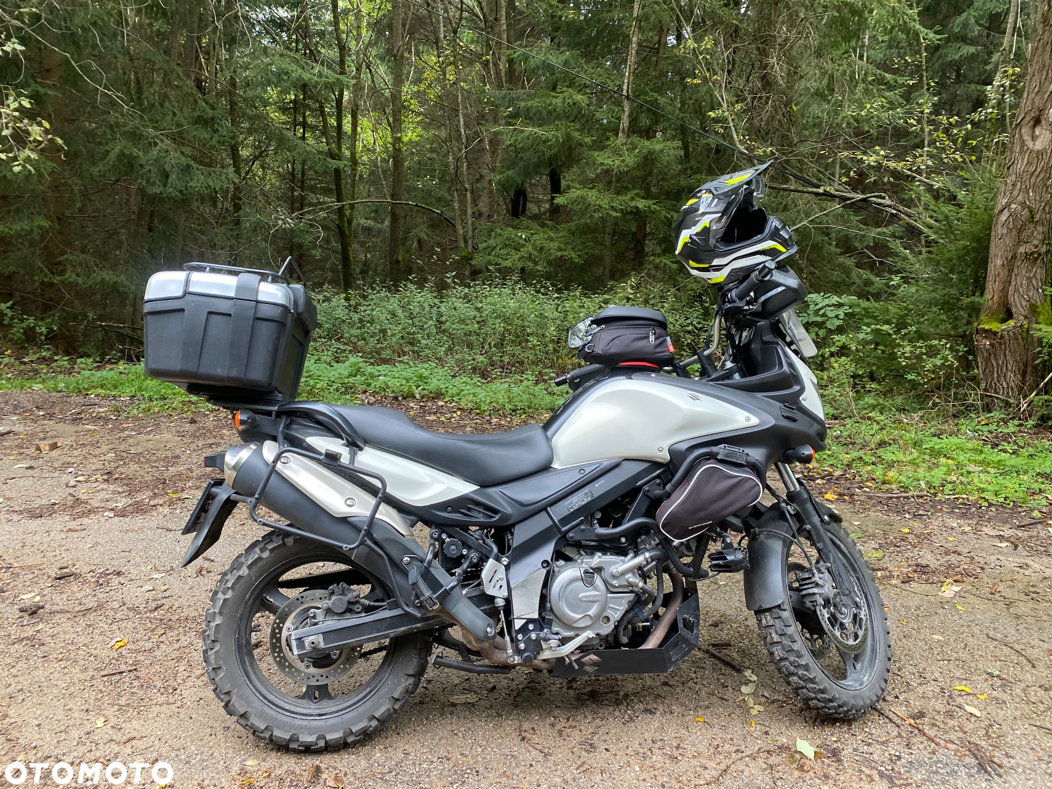 Suzuki DL - 14