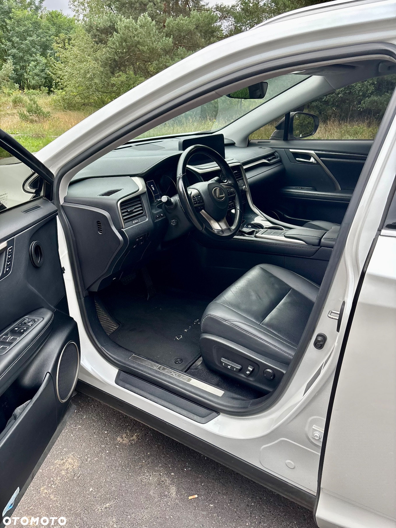 Lexus RX 300 Business Edition + - 10