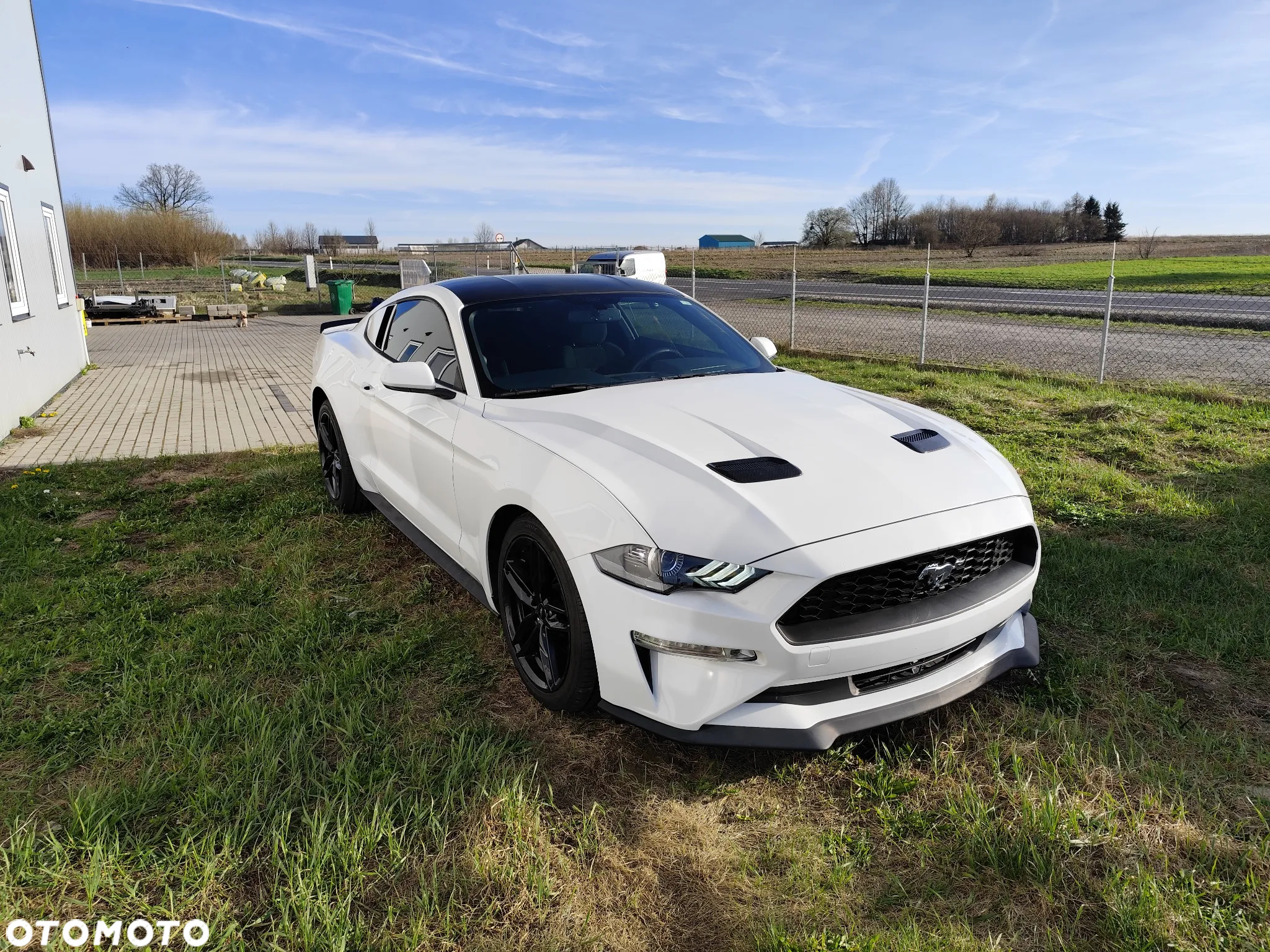 Ford Mustang - 8