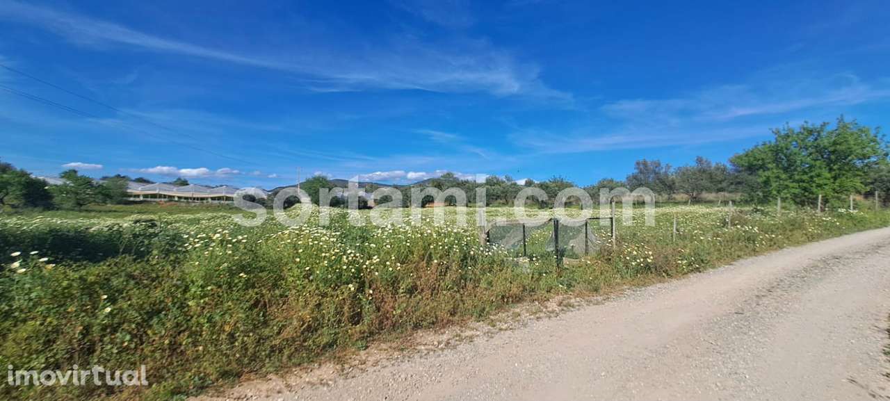 Terreno Rústico  Venda em Conceição e Estoi,Faro - Grande imagem: 3/7