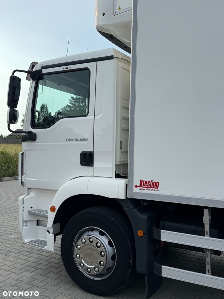 MAN TGM 18.290 / CHŁODNIA / WINDA / 18 PALET / AUTOMAT / NISKI PRZEBIEG / 8 370 KG ŁADOWNOŚCI / CARRIER / 2018 ROK - 9
