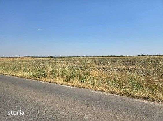 Teren extravilan Smardioasa, cota 1/6, ID: R2688427 - Imagine principală: 2/9