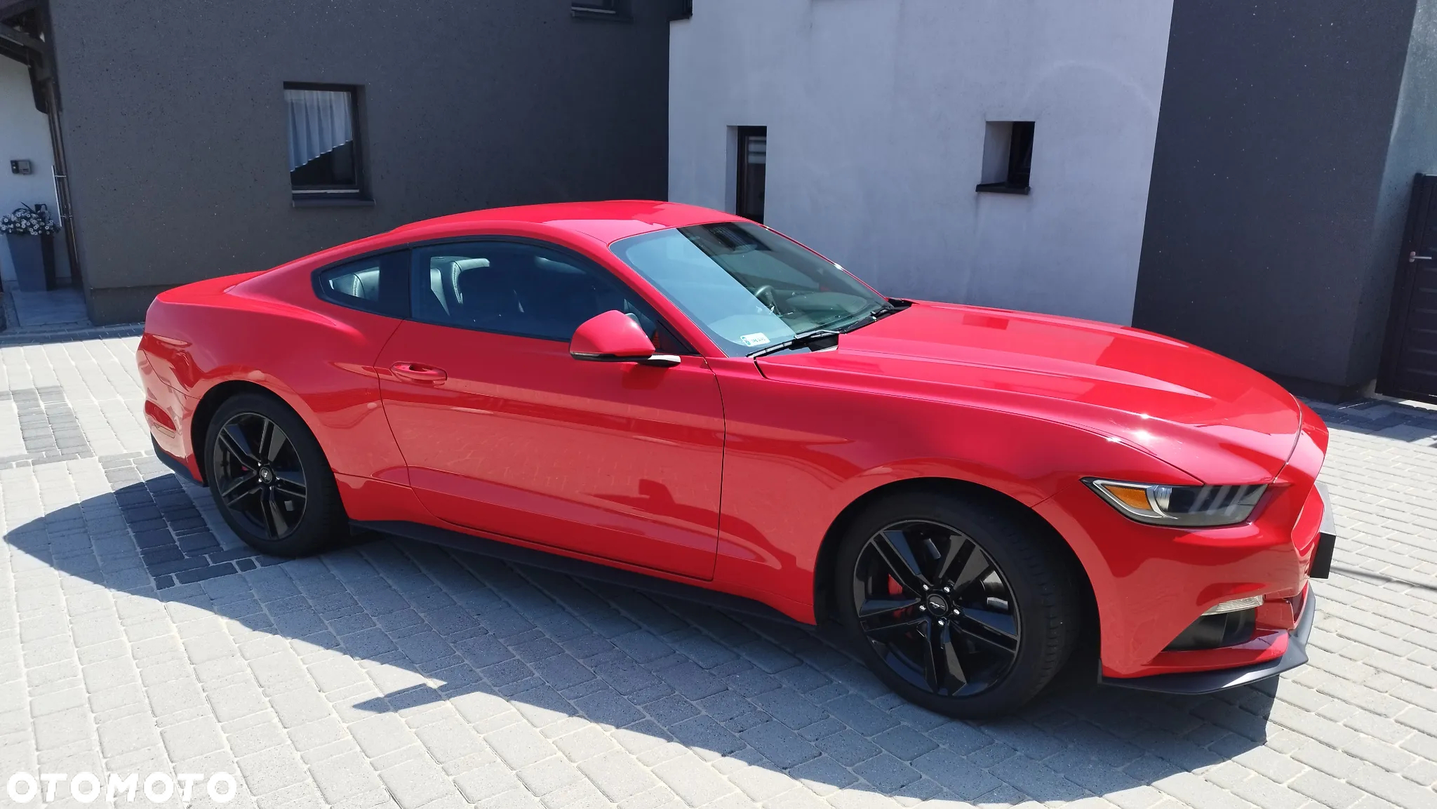 Ford Mustang 2.3 EcoBoost - 8
