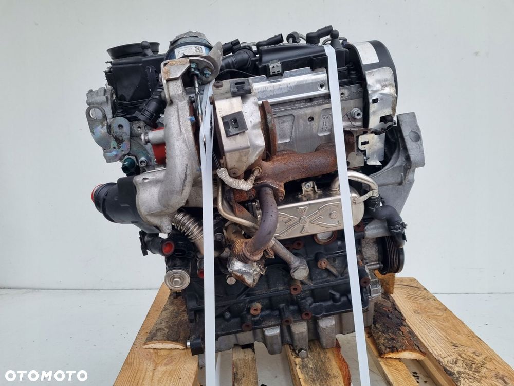 SILNIK BEZ OSPRZĘTU VW Golf VI 1.6 TDI 105KM ładnie pali CAY CAYC - 9