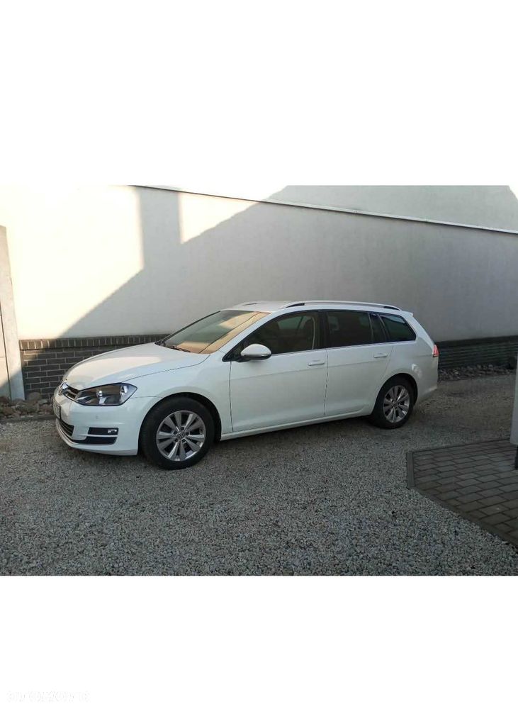 Volkswagen Golf - 1