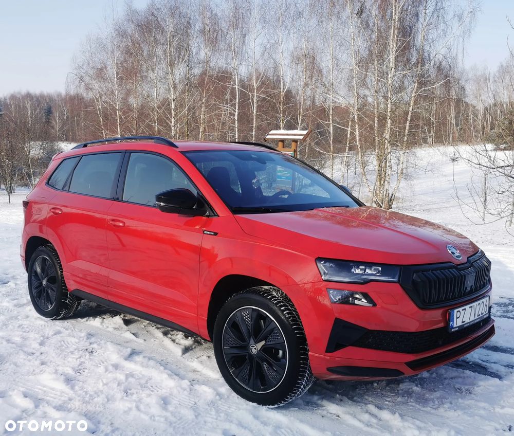 Skoda Karoq - 3