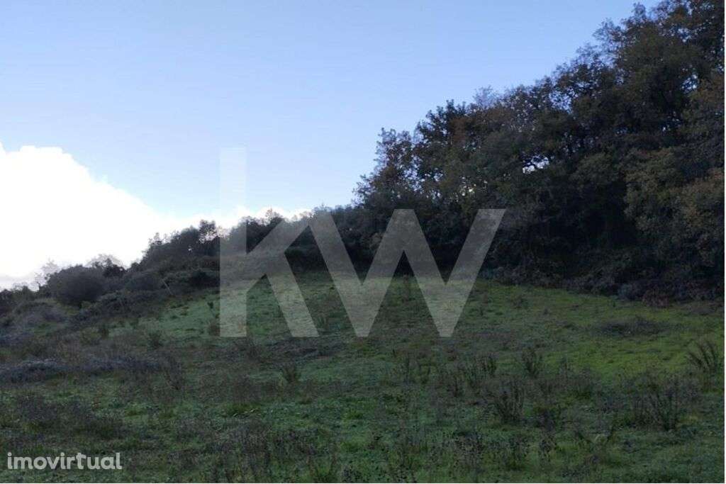 5.600 m2 - Terreno . Vende-se em PORTO MÓS - Grande imagem: 4/13
